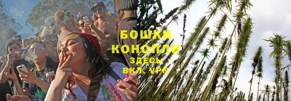 стафф Богородск