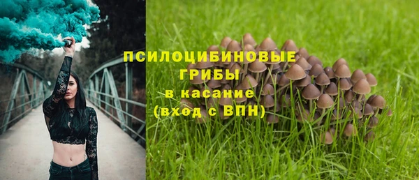 стафф Богородск