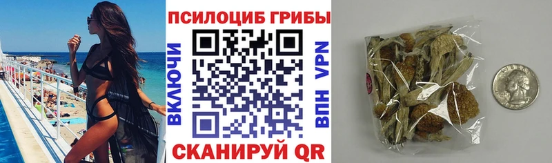 ссылка на мегу как войти  Саранск  Псилоцибиновые грибы Psilocybine cubensis 